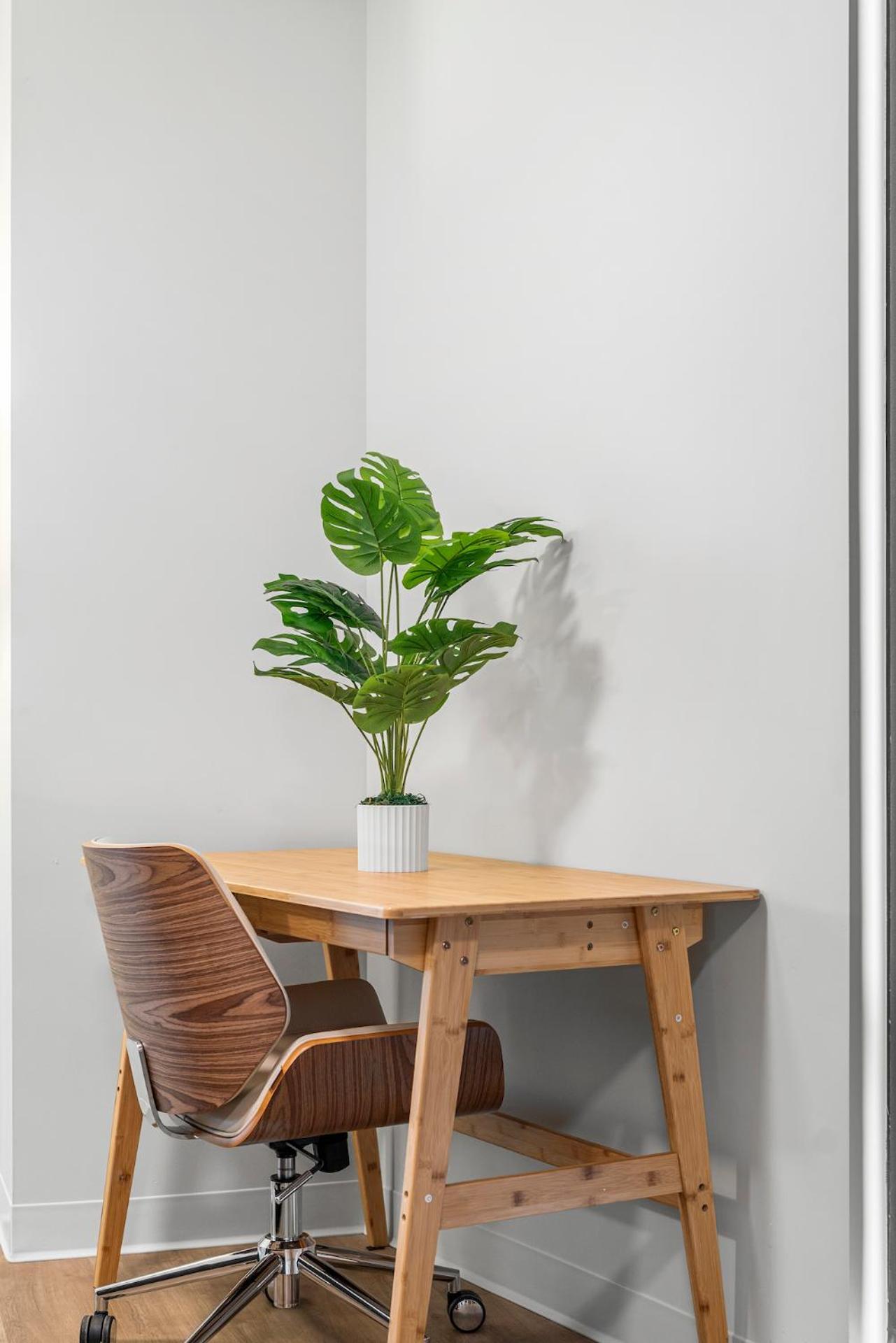 Furnished Luxury Apartment Next To Harvard Stadium Boston Eksteriør bilde